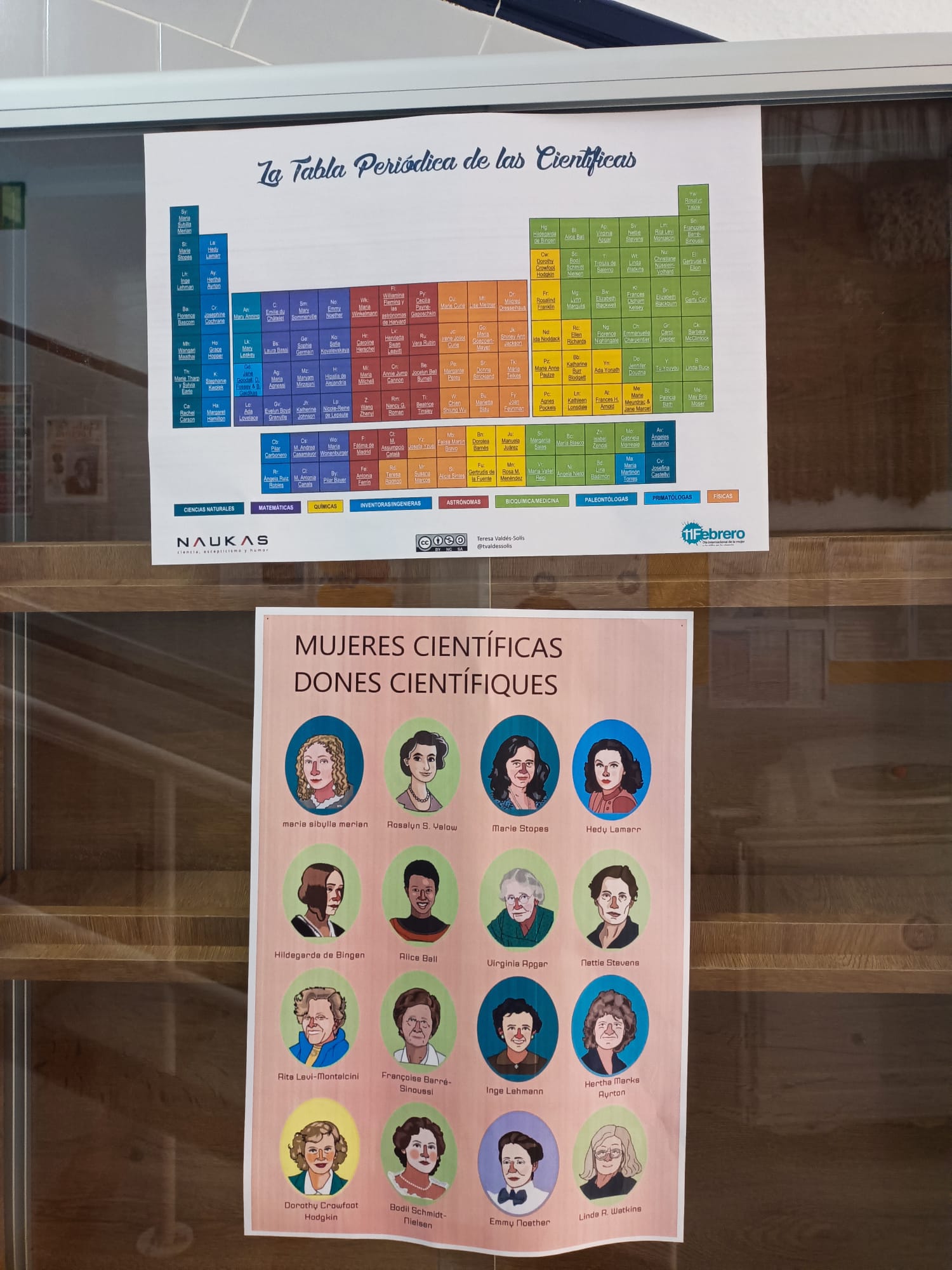 cartell 8